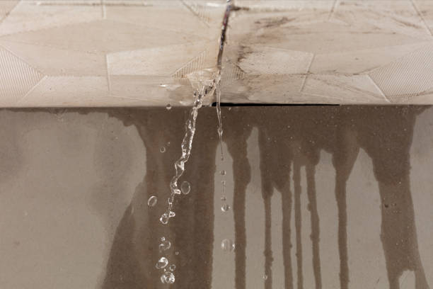 Professional Sewage Cleanup technician working in Millport, AL